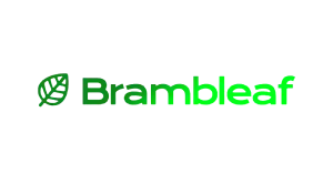 branding and marketing logo