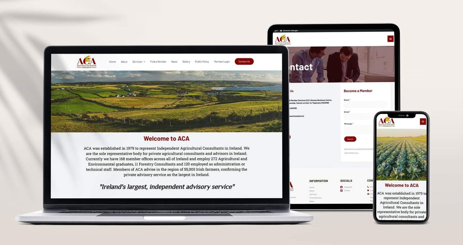ACA Web Design