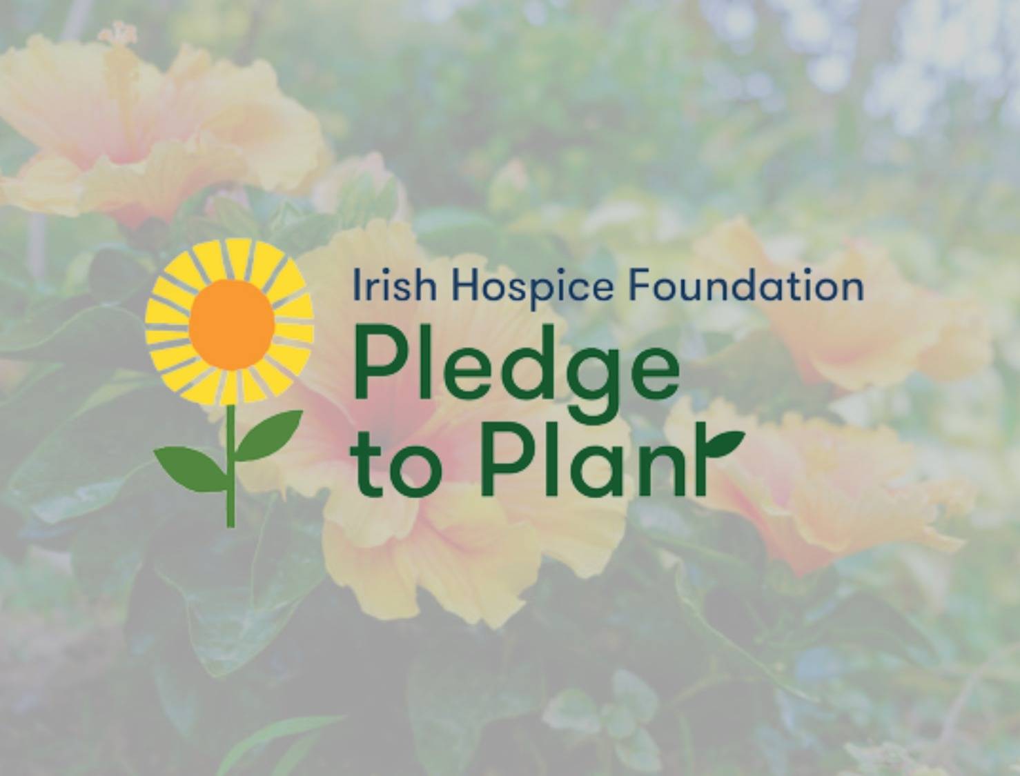 Pledge to plant Brand Development